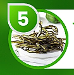 Tảo xoắn