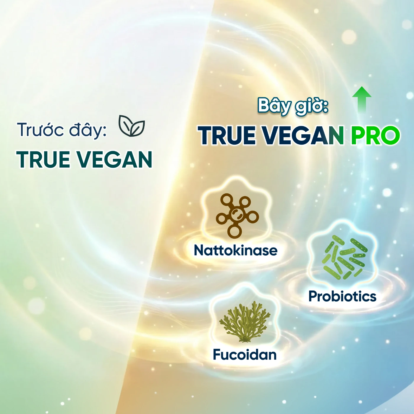 Trước đây vs Bây giờ